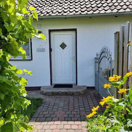 Feel-Good Apartment Close To The City Reppenstedt Εξωτερικό φωτογραφία